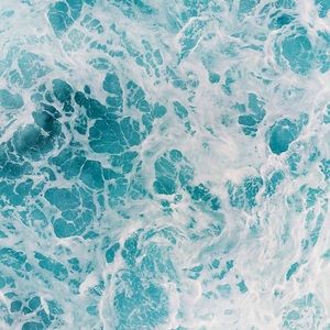 Meet your Posher, Lilly